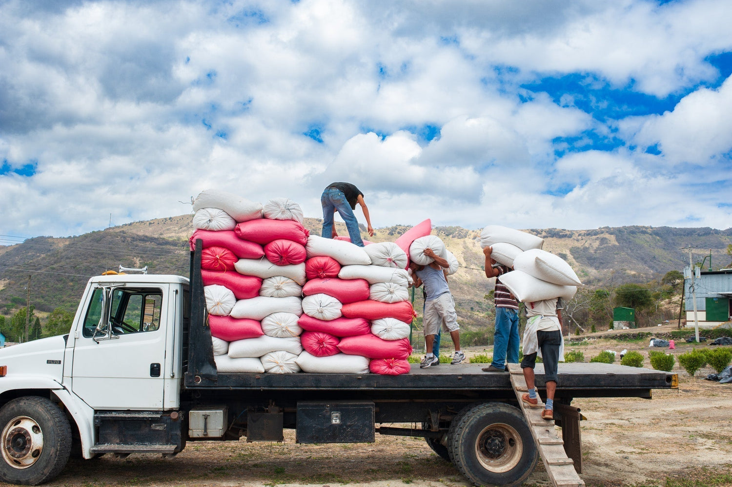 2024 - a year of upheavals