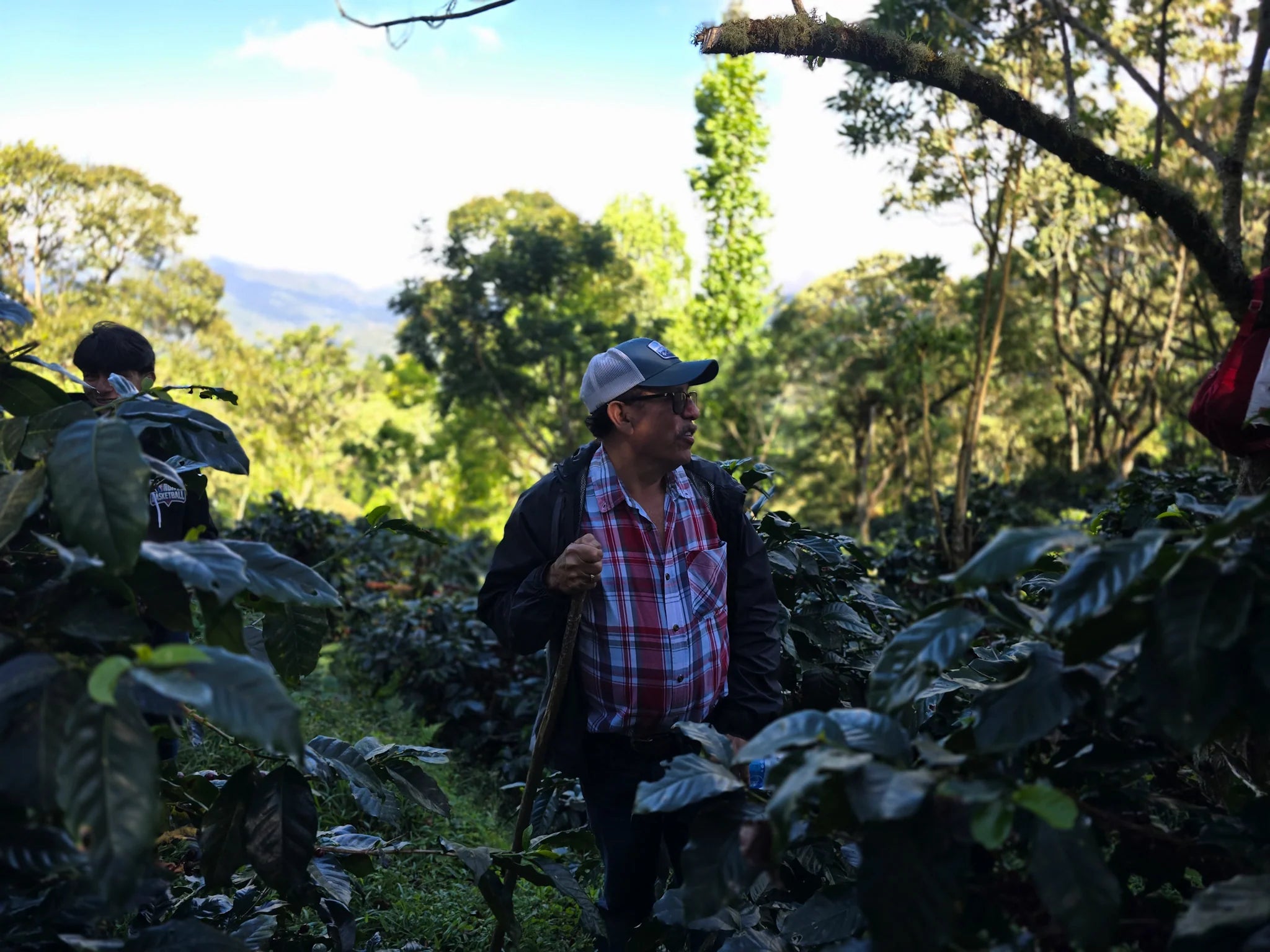 Nicaragua Los Suyates