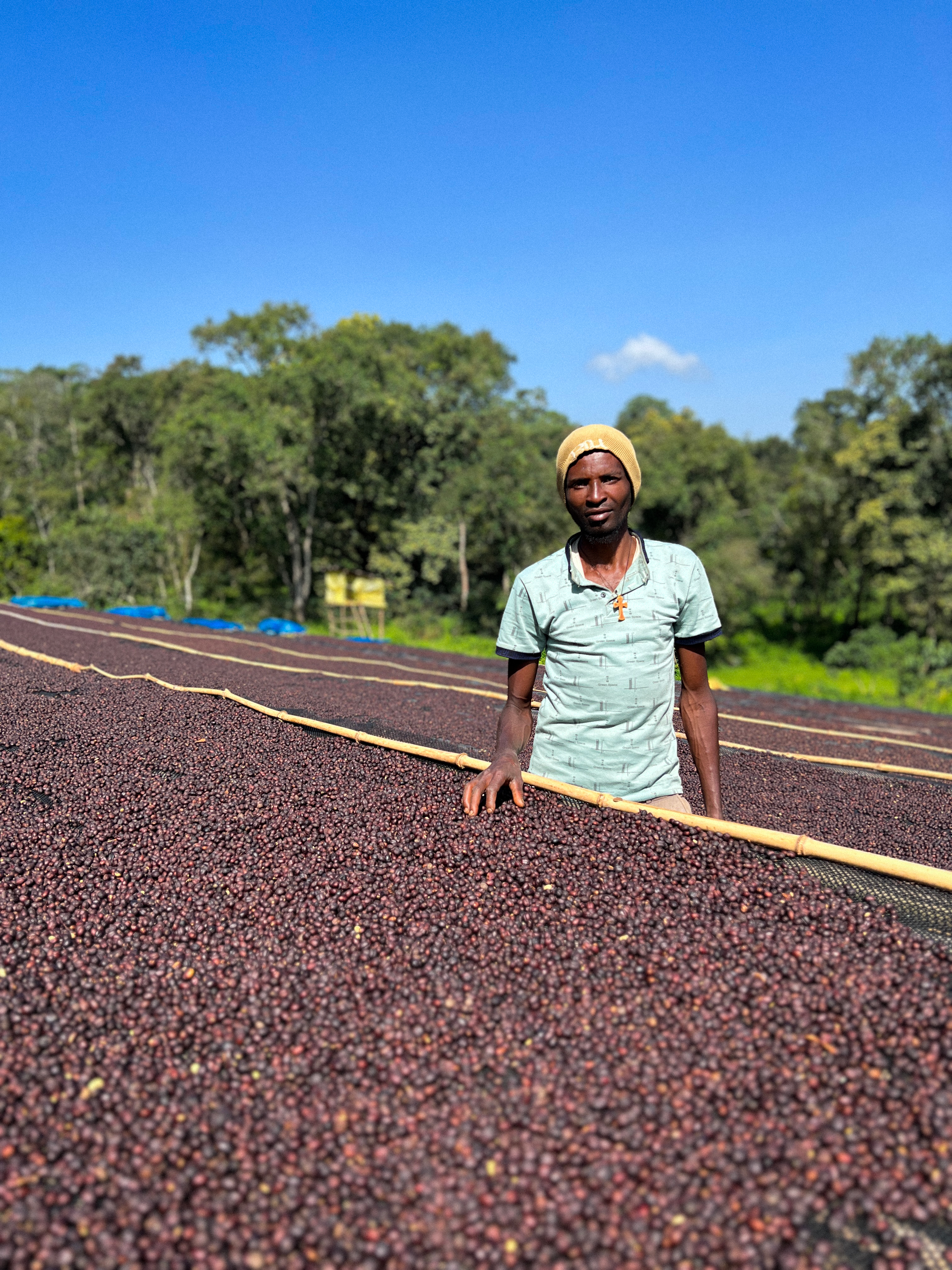 Ethiopia Kaffa Bita
