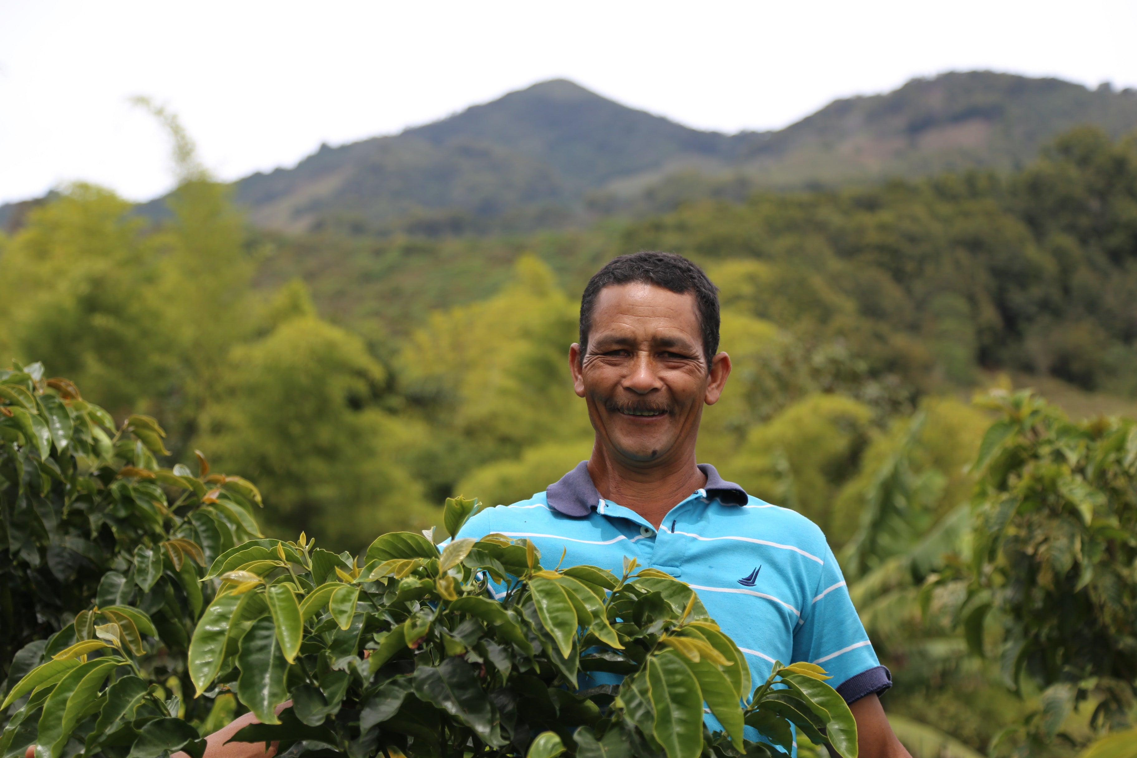 Colombia La Germania