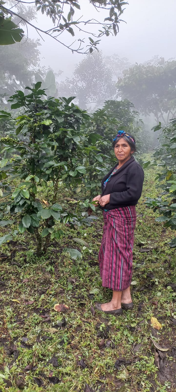 Guatemala El Sendero