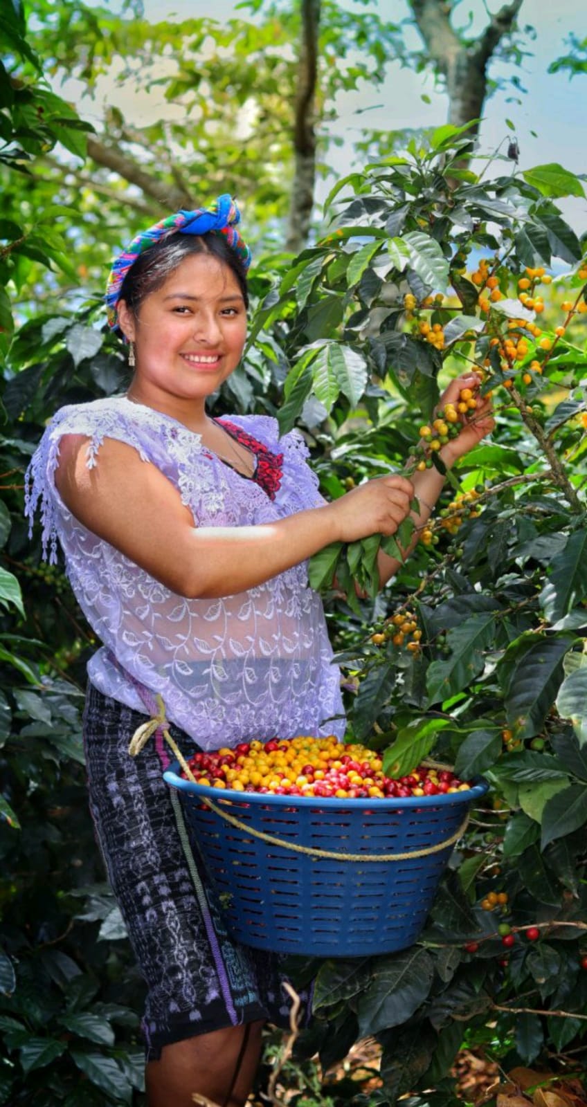 Guatemala El Sendero