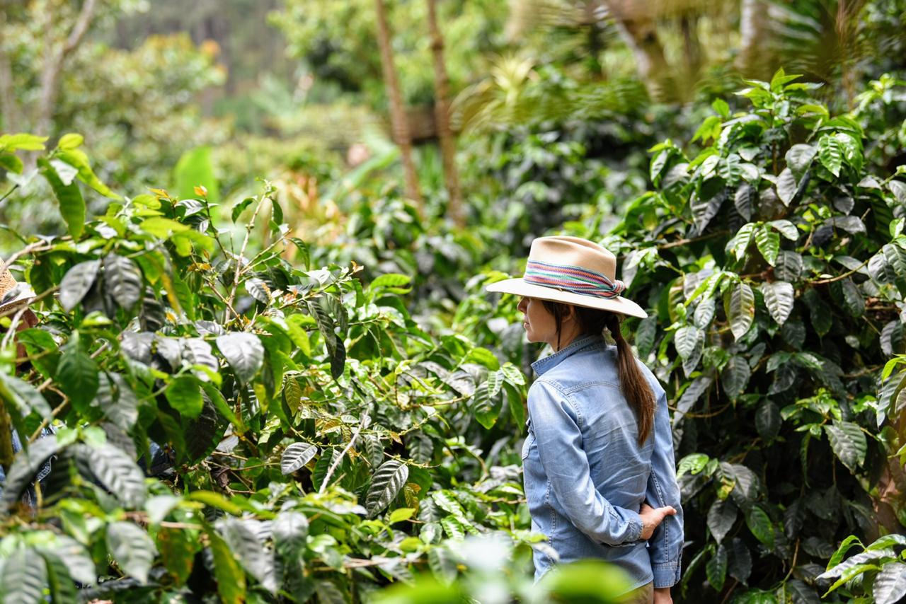 Guatemala La Serrania