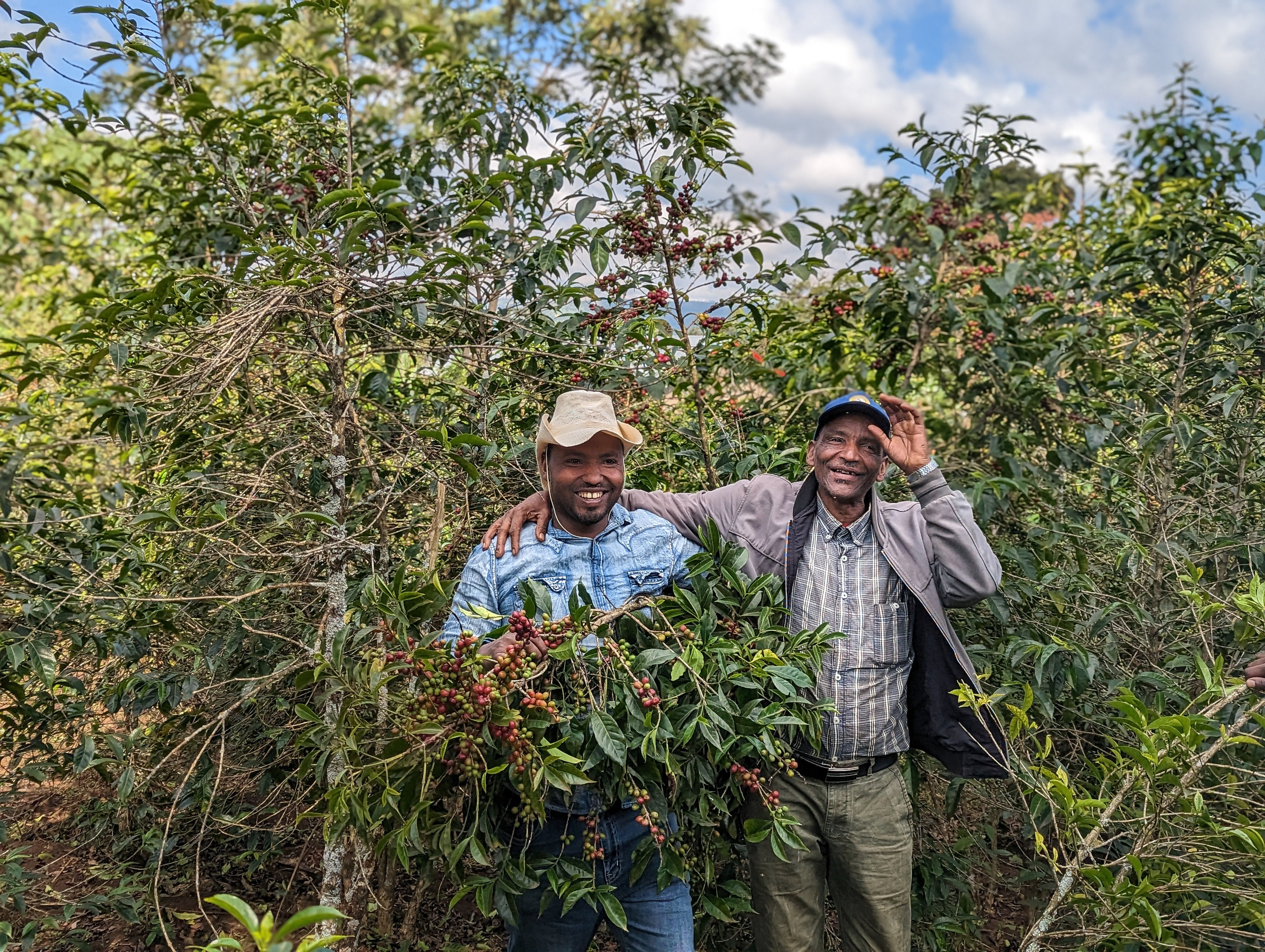 Ethiopia Basha Bekele