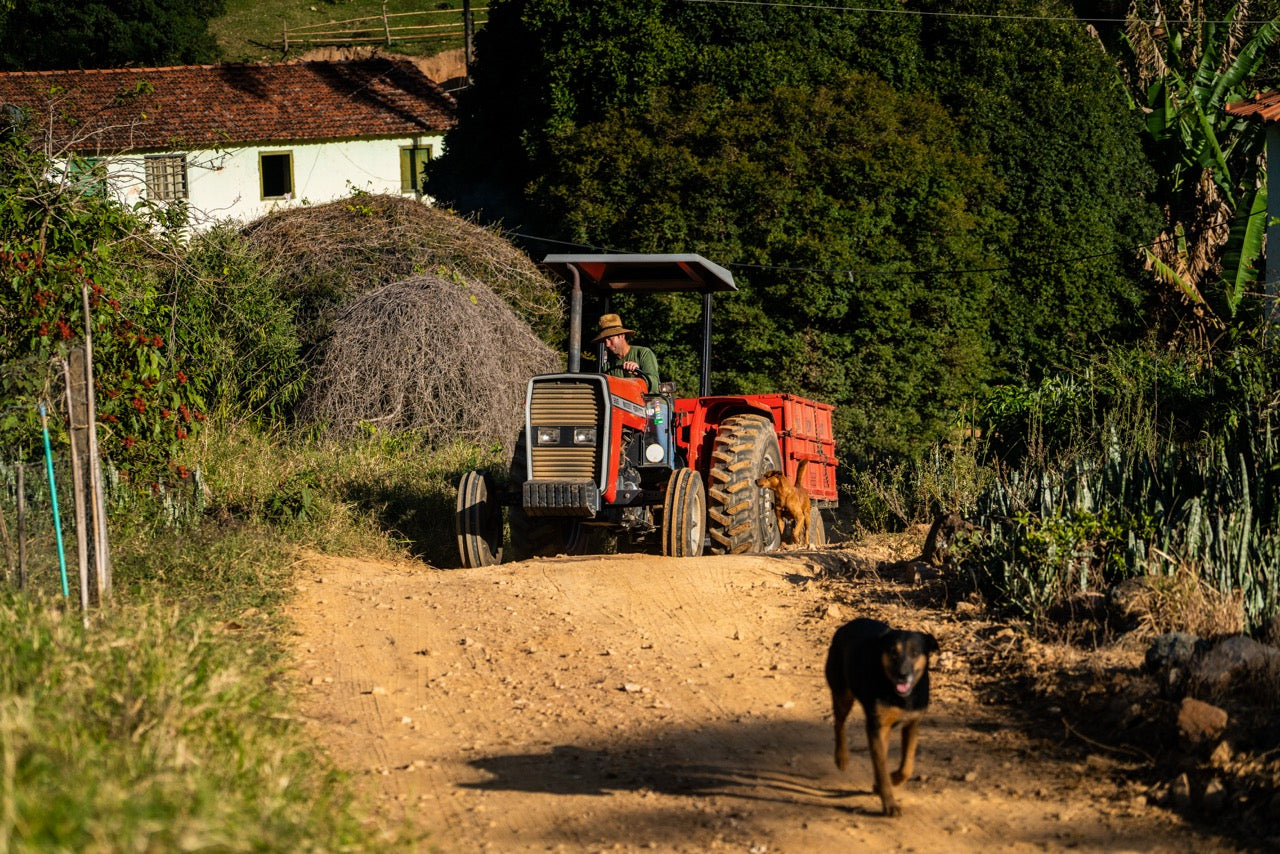 Brazil Serra dos Ciganos