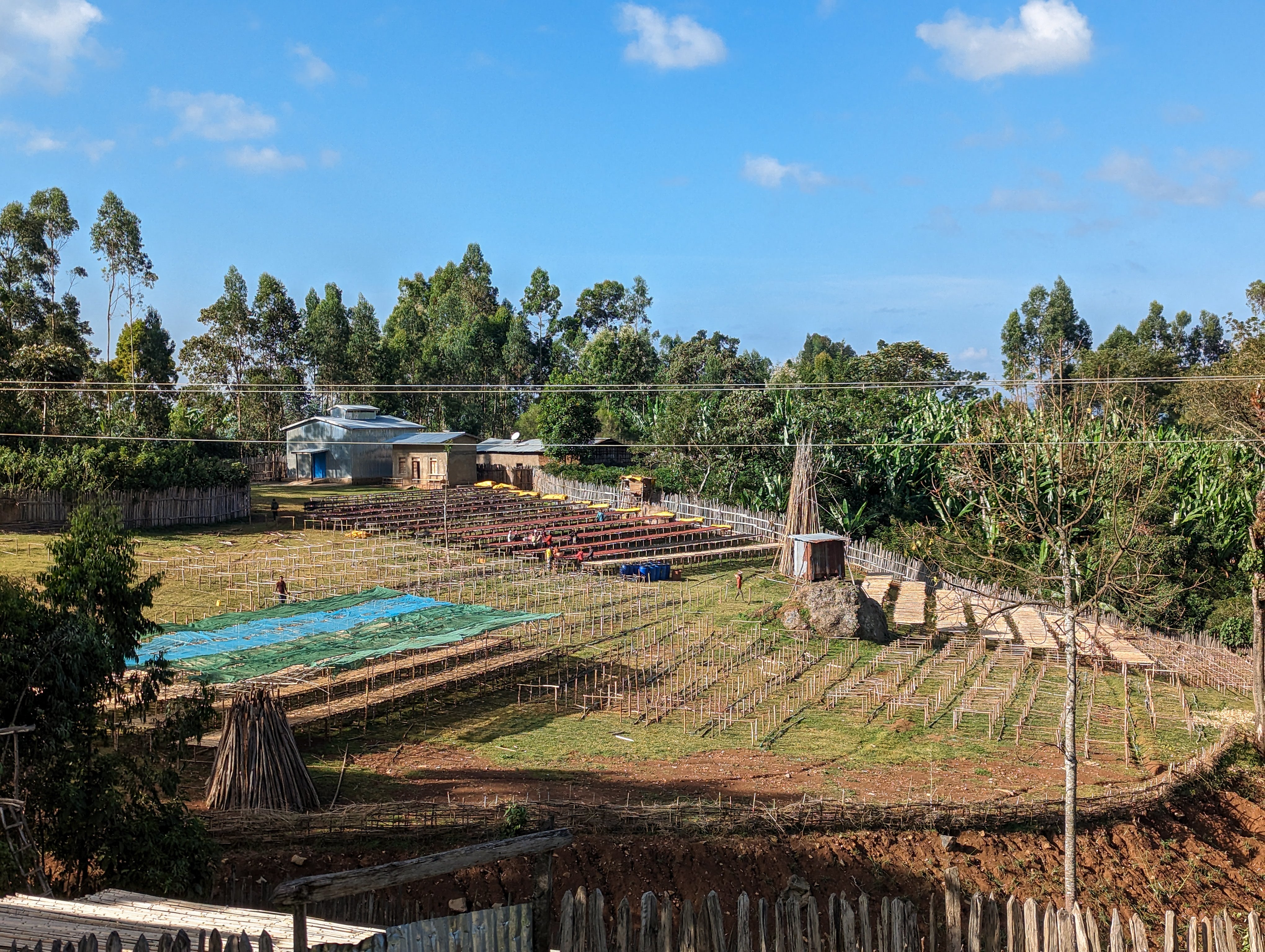 Ethiopia Basha Bekele