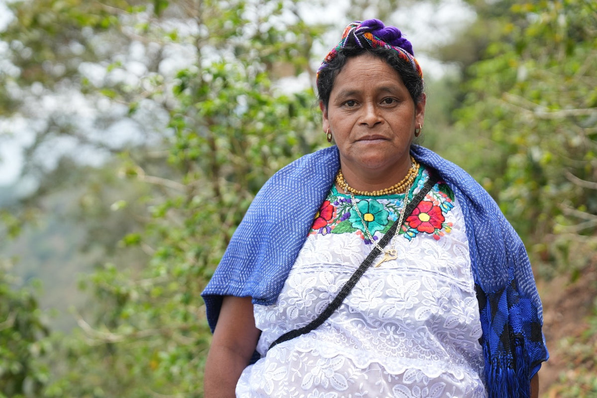 Guatemala El Sendero