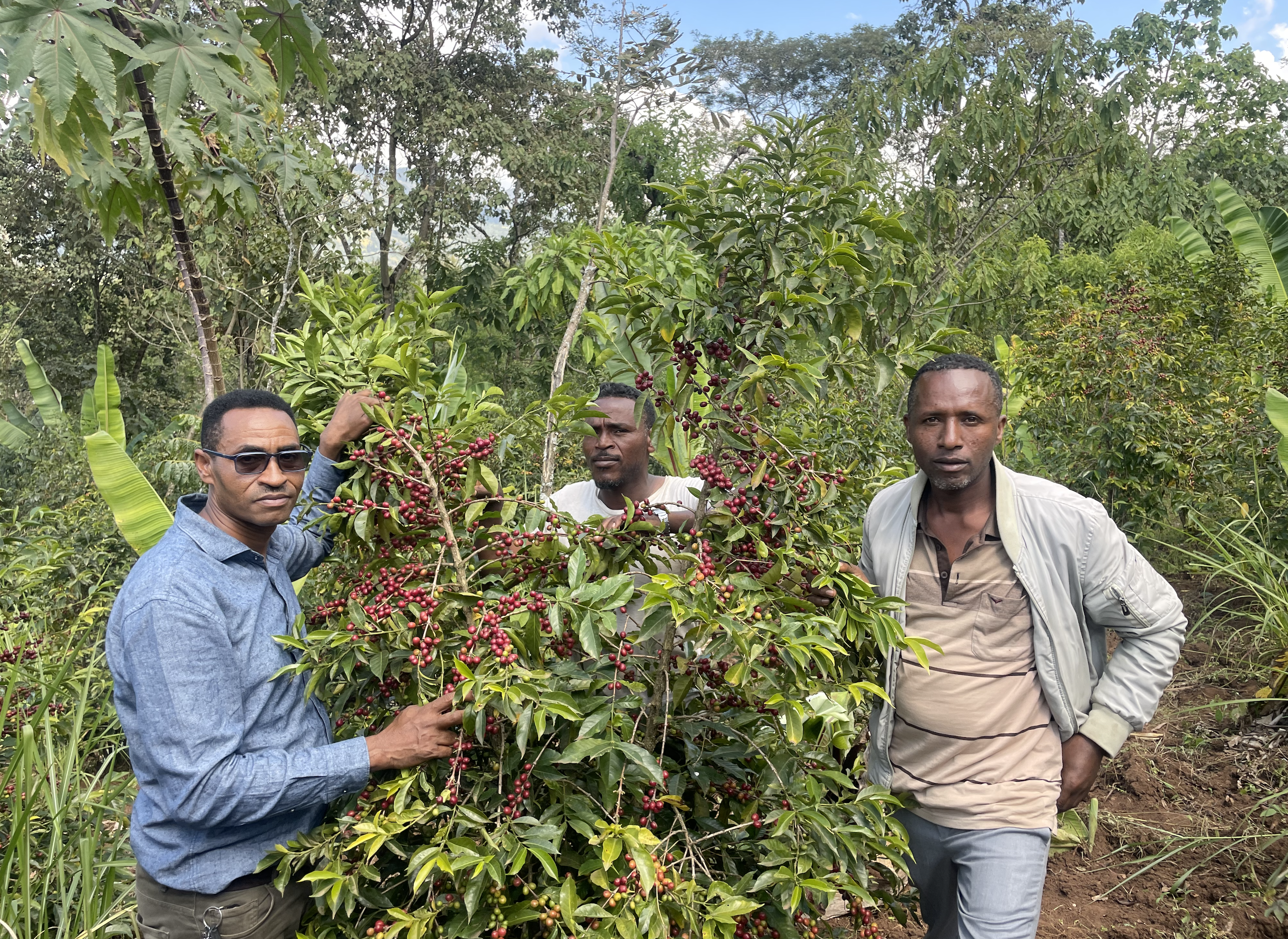 Ethiopia Bensa Bombe