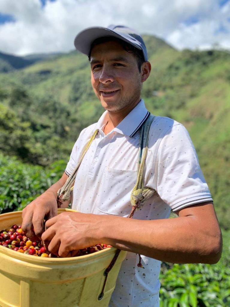 Peru El Colmena